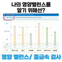 영양밸런스, 중금속 검사