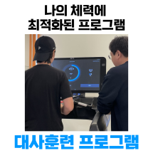 대사훈련 프로그램